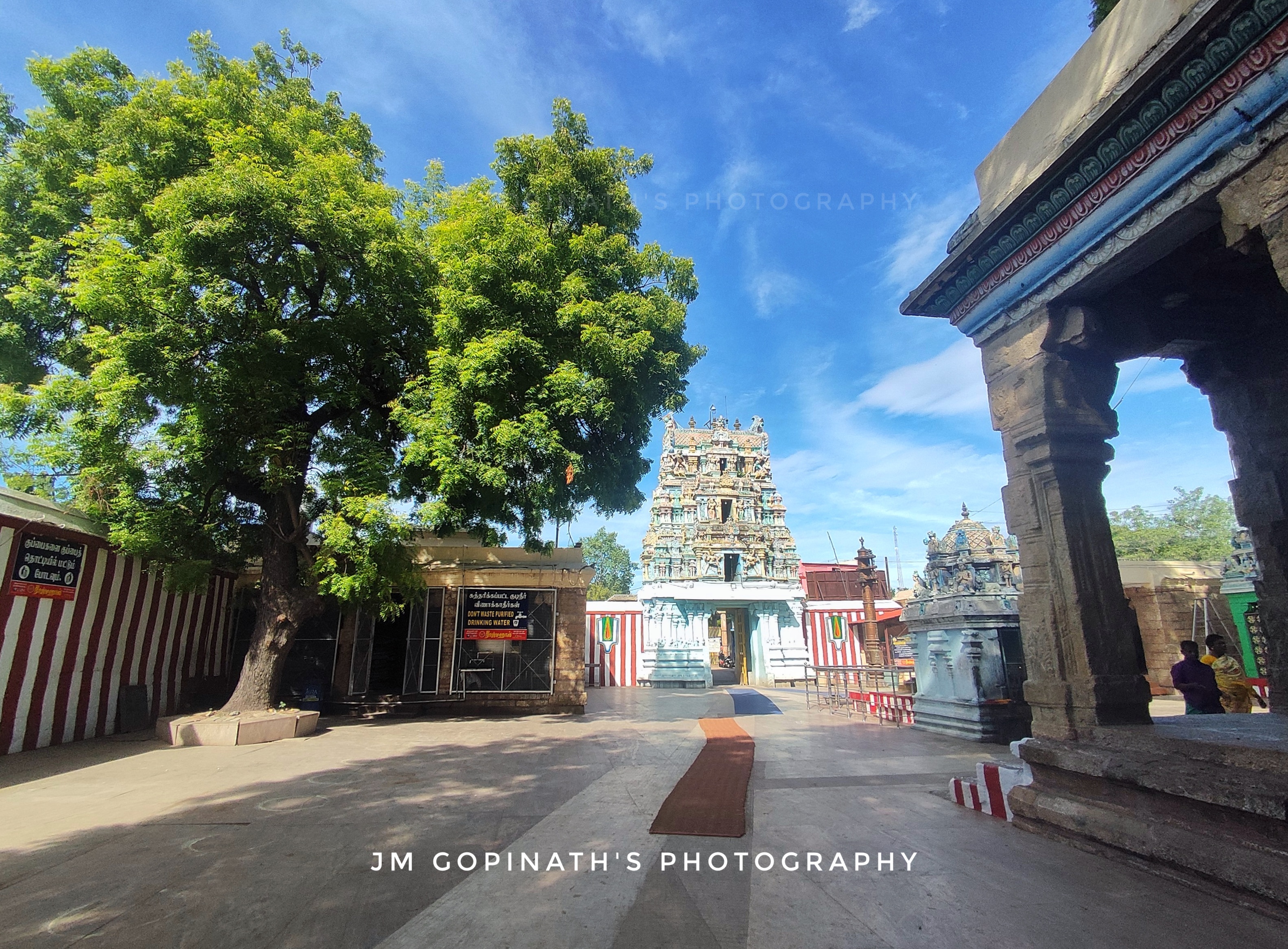 Arulmigu Prasanna Venkatachalapathi Temple, Tallakulam, Madurai